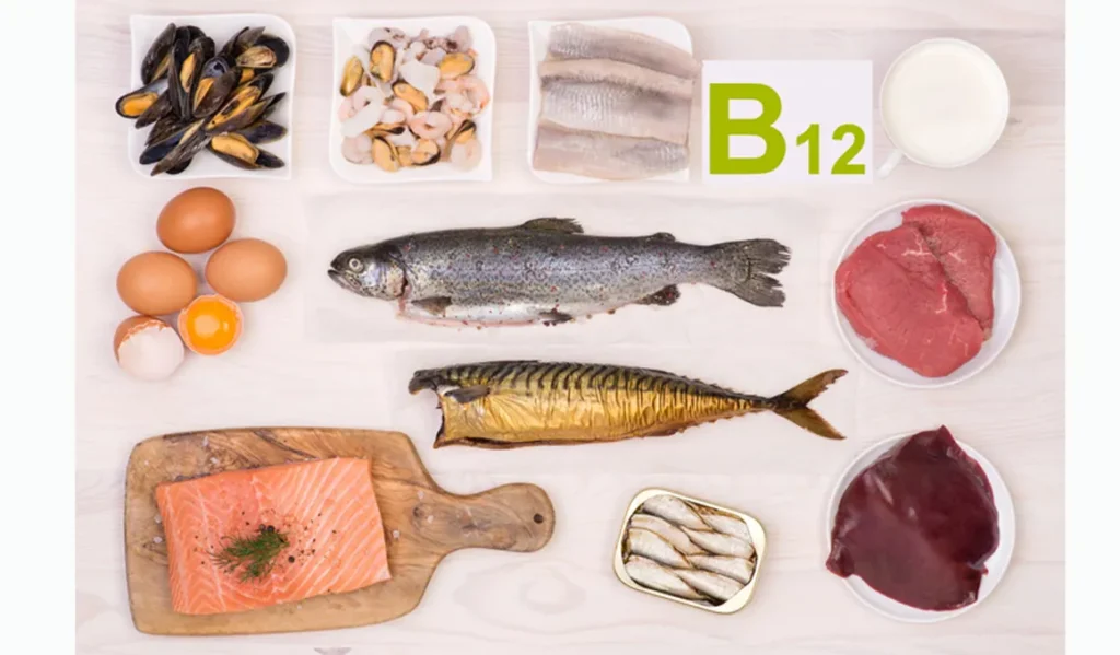 Varios ingredientes que contienen vitamina b12